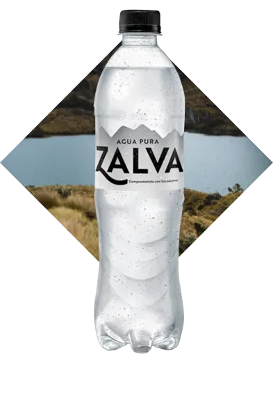 Agua Zalva Sin Gas 600ml